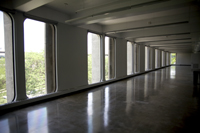 Floor-to-ceiling windows throughout the building provide sunny, open studio spaces.