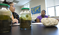 Students conduct experiments in the Department of Geosciences.