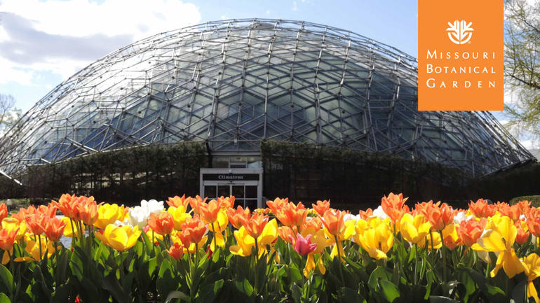 botanical garden dome with tulips