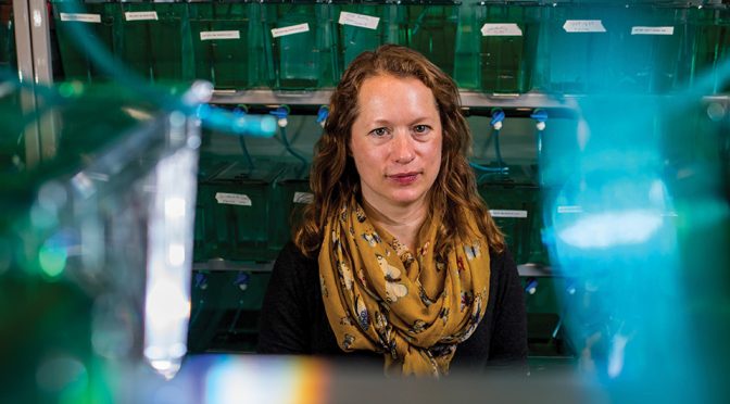 Researcher Hilary McGraw, Ph.D., in her lab filled with hundreds of zebra fish tanks / Photo: Brandon Parigo